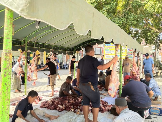 WhatsApp Image 2025-06-10 at 09.29.35 (1)